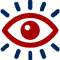 vision